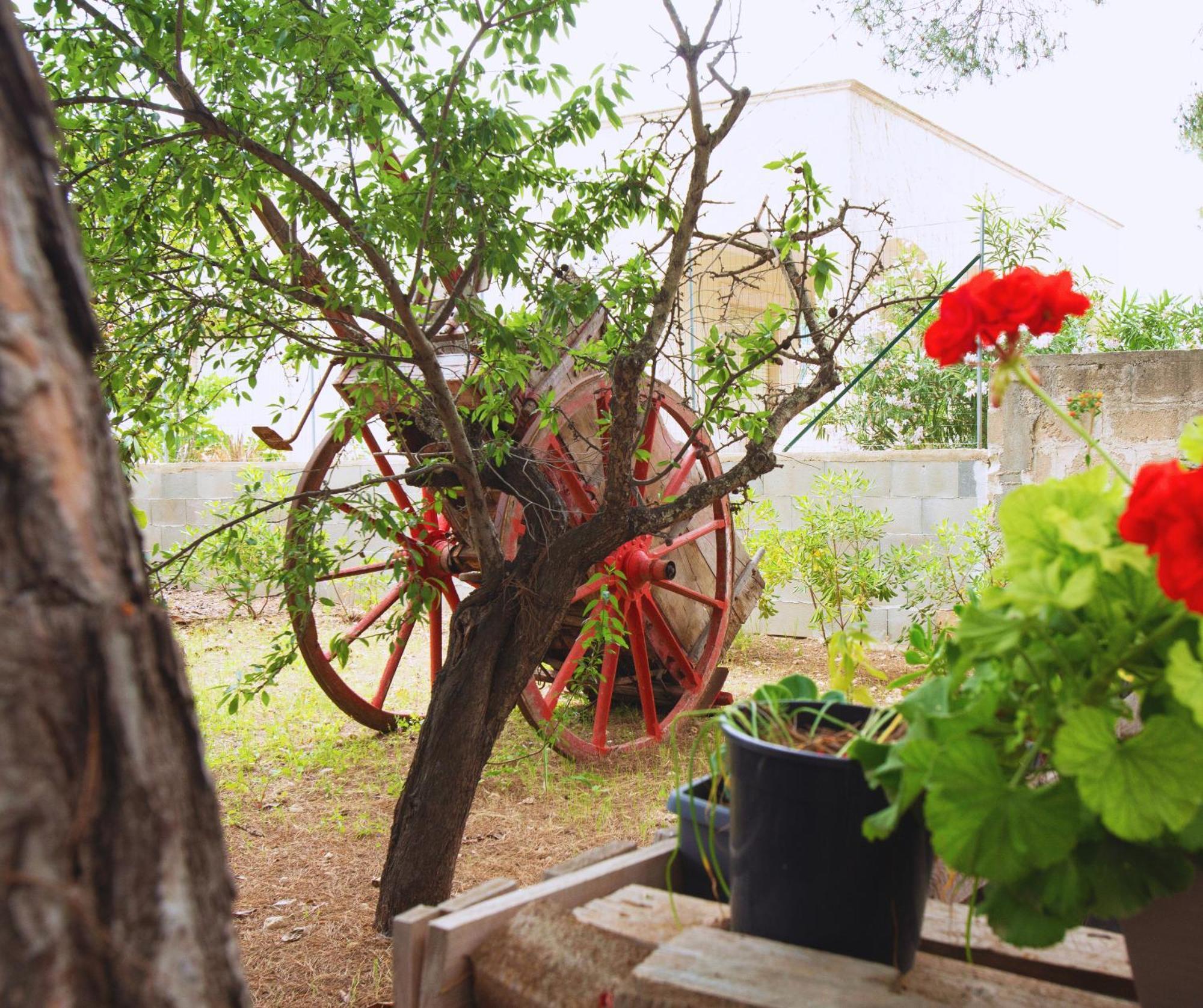 B&B Montedarena ปุลซาโน ภายนอก รูปภาพ